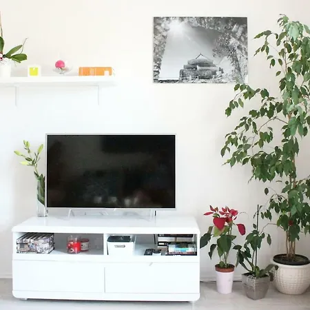 Apartman Goga *